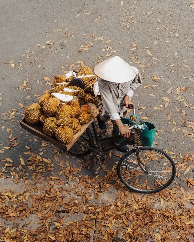 durian hanoi