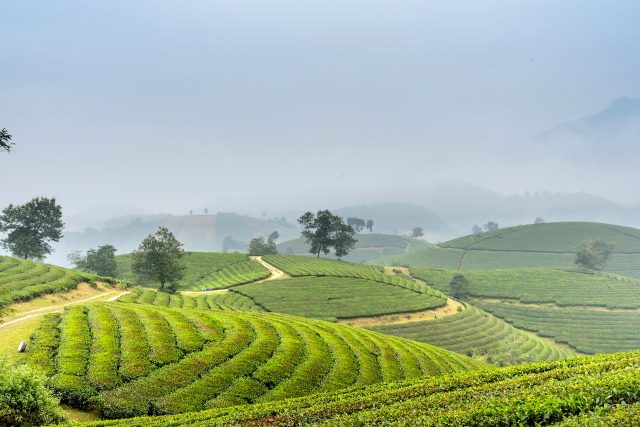 sapa vietnam