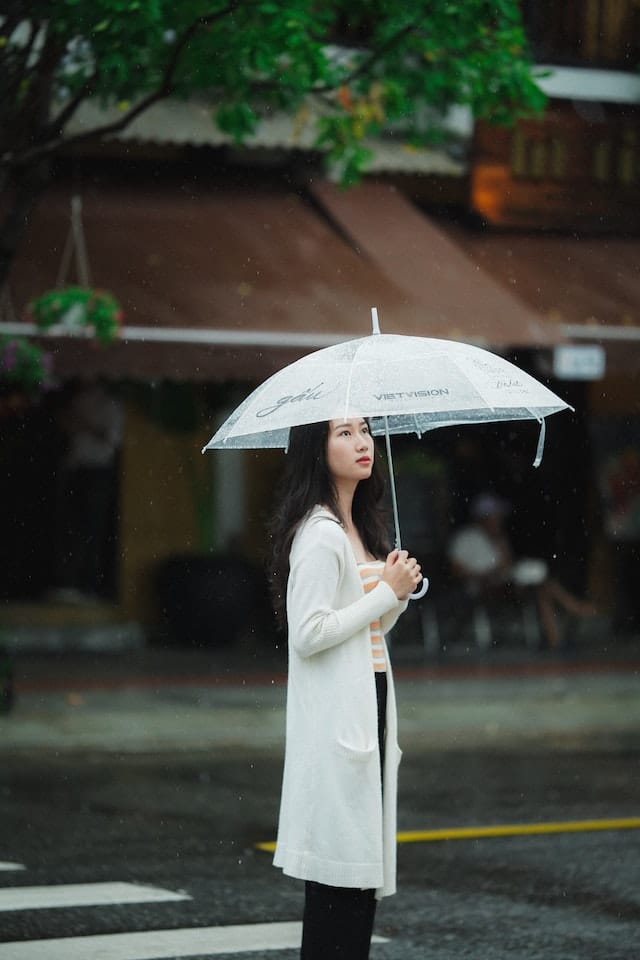 vietnam rainy weather