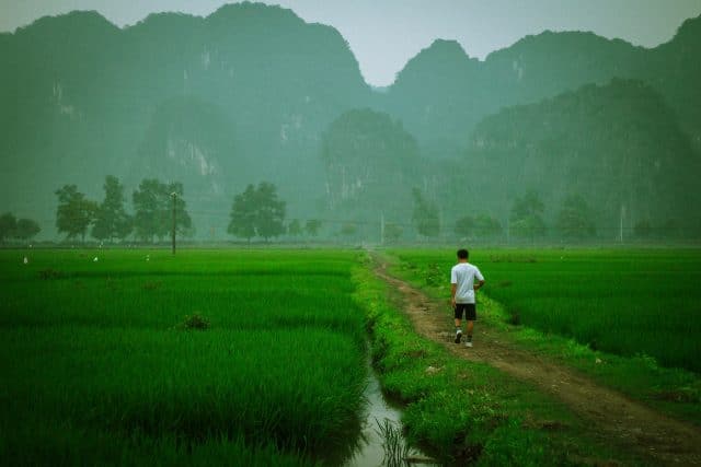 ninh binh vientam