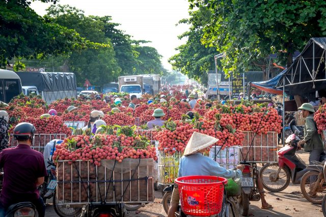 bac giang north vietnam