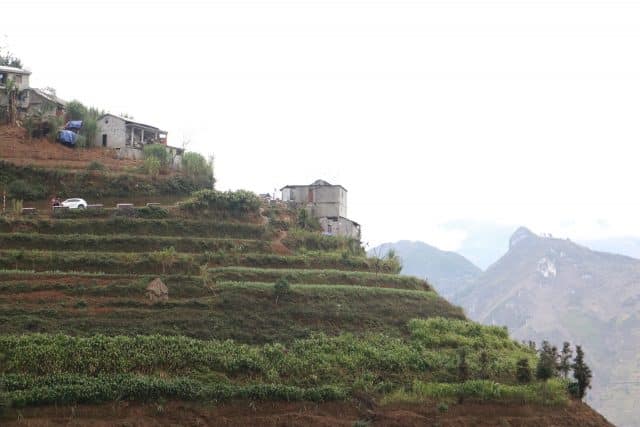 meo vac ha giang