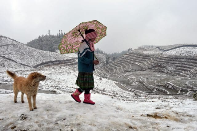 vietnam snow