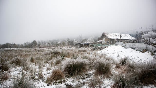 snow in y ty vietnam