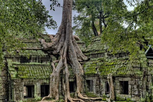 cambodia