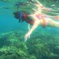 Snorkeling and diving spots in Vietnam